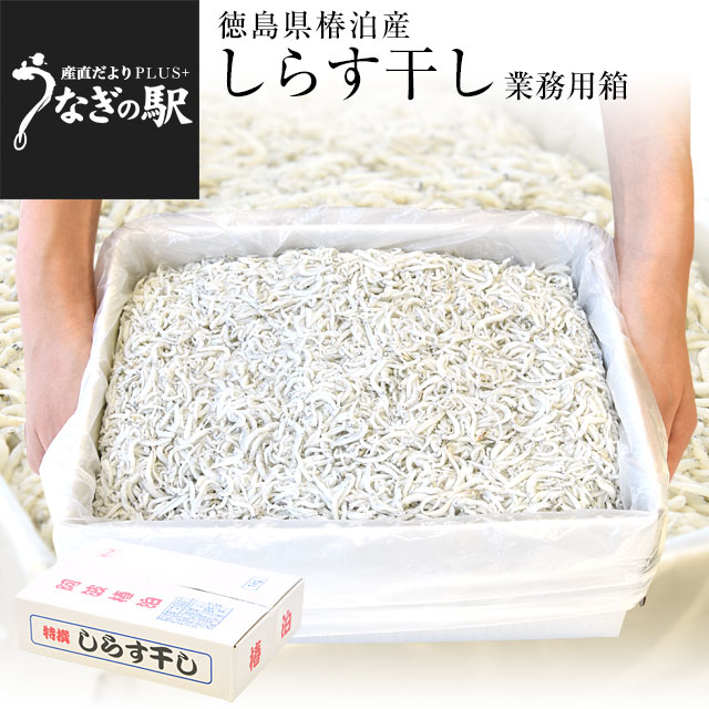 豊洲市場から直送 徳島県椿泊産 しらす干し 1キロ入り 業務用箱 送料無料 しらす シラス シーフード