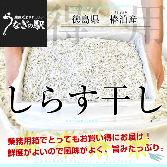 豊洲市場から直送 徳島県椿泊産 しらす干し 1キロ入り 業務用箱 送料無料 しらす シラス シーフード