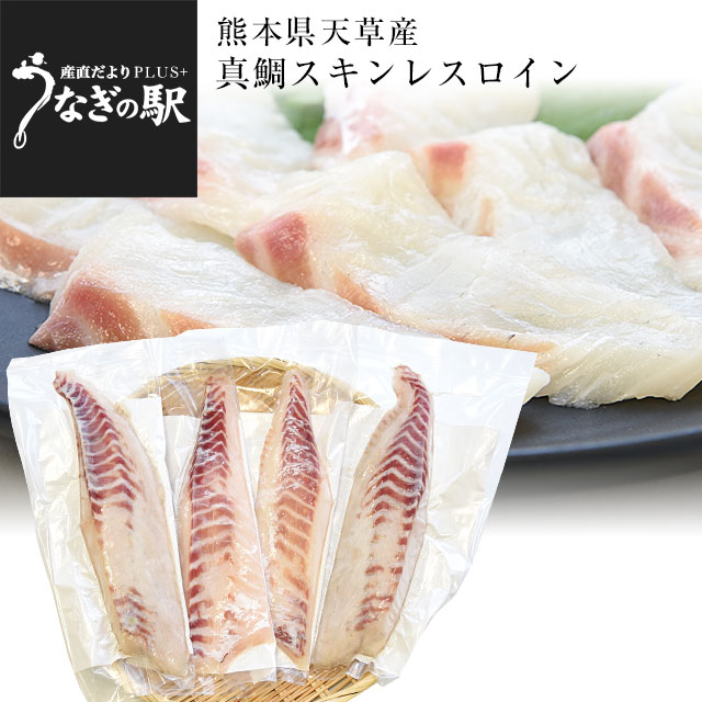 熊本県　天草から　産地直送品！極上の熊本天草の真鯛「真鯛スキンレスロイン」合計約1キロ（4枚入り）※クール冷凍便のサムネイル