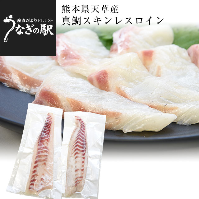 熊本県　天草から　産地直送品！極上の熊本天草の真鯛「真鯛スキンレスロイン」約500g（2枚入り）※クール冷凍便のサムネイル