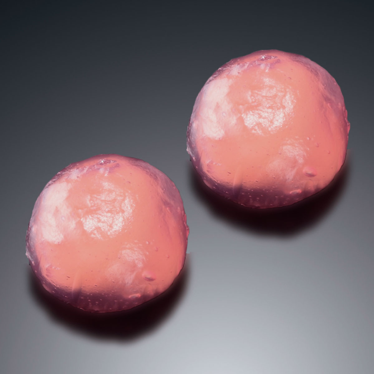 膳人 くず餅(りんご)20個