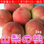 甘さ香りとも一級品！日本一の生産量！山梨の桃の季節がやってきた！白鳳・白桃2.5kg