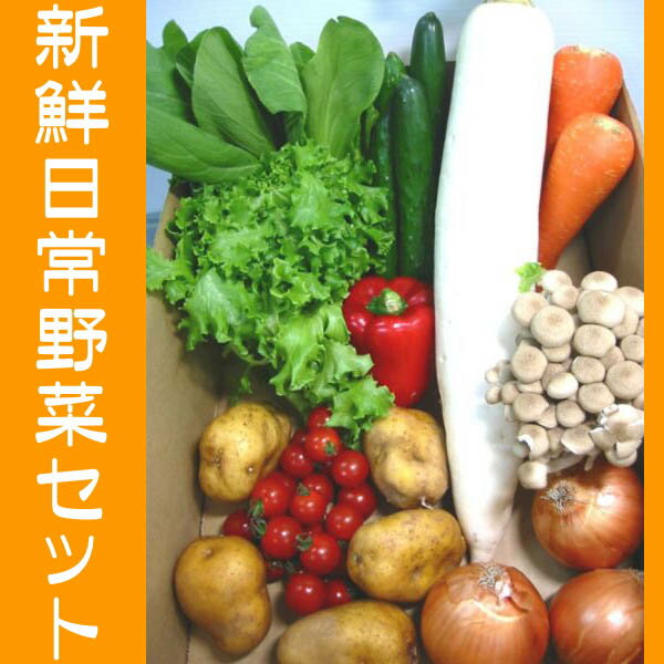 さんきん新鮮日常野菜セット！