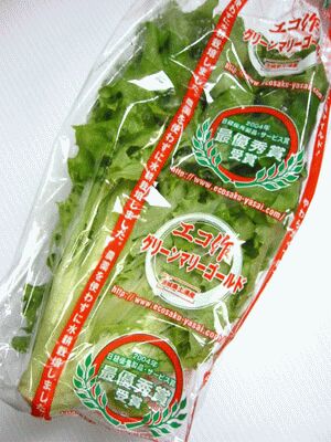 アクの少ない野菜です！エンダイブとリーフレタスをかけ合わせたサラダ菜で、花のマリーゴールドによく似た、柔らかくアクの少ない野菜です。サラダでお召し上がりください。1袋：約90g【品番:ila00205】アクの少ない野菜ですエンダイブとリーフレタスをかけ合わせたサラダ菜で、花のマリーゴールドによく似た、柔らかくアクの少ない野菜です。サラダでお召し上がりください。※新鮮なものをより良い状態でお届けするため、到着日のご希望にそえない場合がございます。冷凍商品との同梱はできません。商品番号ila00205生産地主に茨城県、その他内容量1袋：約90g配送方法冷蔵便でのお届けとなります。