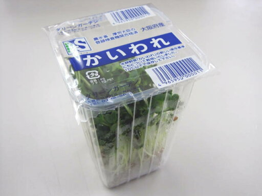 日常の一般野菜 かいわれだいこん 1パック 日常の一般野菜 かいわれだいこん 1パック