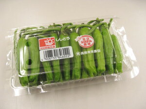 日常の一般野菜 ししとう シシトウ 1パック