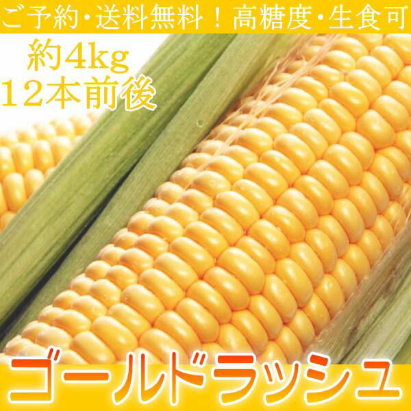 送料無料 高糖度とうもろこし ゴールドラッシュ 生食可 約4kg12本前後 ご予約