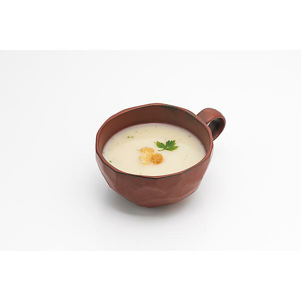 JFDA ポタージュスープ 500g (粉末・袋入) ジェフダ sankin-asaichi-10045710 食品のネットスーパー・さんきん サンプル画像2