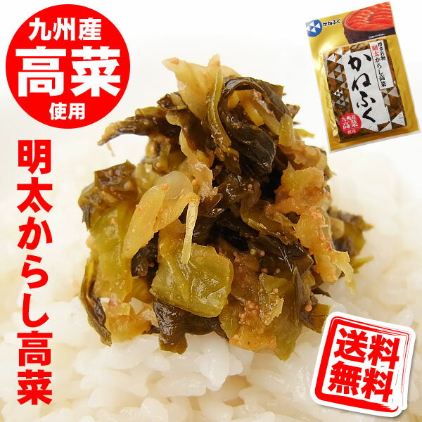 かねふく 明太 からし高菜 100g 送料無料 (メール便/同...