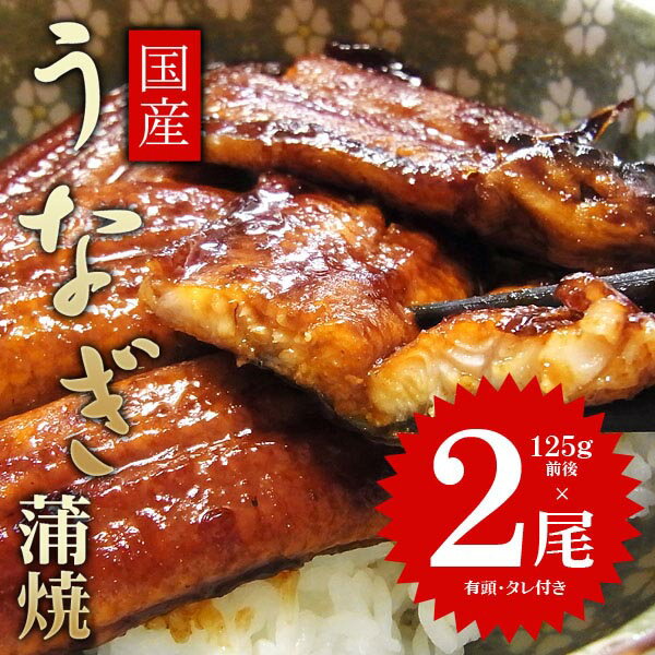 国産 うなぎ 蒲焼(有頭)2尾（125g×2尾）セット 送料無料