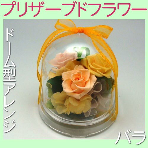 バラ/あじさい/アイビー/シフォン/リボン/プラスティックケース、本体寸法：直径130×H140/mmを白箱に入れてお届けします。花の色・種類等、多少変更する場合がございます。メーカーから直送の為、他の商品と同梱は一切できません。ご注文からお届けまで最大1週間程度必要な場合がございますのでご希望日にお届けできない場合がございます。商品代引きでのお支払いはできません。【品番:oab00158】お部屋の飾りに商品番号oab00158内容量本体寸法：直径130×H140/mm配送方法普通便でのお届けとなります。