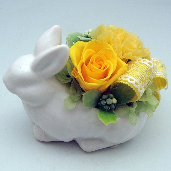 �ץꥶ���֥ɥե� �����ӥå� ��������