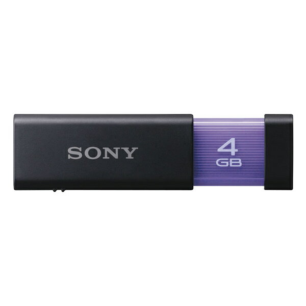 ���̾�߸��ʡ�USM4GL���ˡ�POCKETBIT4GB