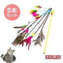 猫じゃらし 5本セット ねこじゃらし 猫用おもちゃ 猫のおもちゃ 羽根 ねこ ネコ 羽根 鈴 おもちゃ猫用品 ペット用品 猫おもちゃ ストレス解消 運動不足解消...