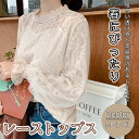 レース ブラウス トップス 長袖 レディース 結婚式 二次会 オフィスカジュアル 半袖 春 入学式 卒業式 総レース フォーマル オケージョン シースルー シャツ ハイネック / 総レースレディトップス 白 ベージュ メール便送料無料(4)