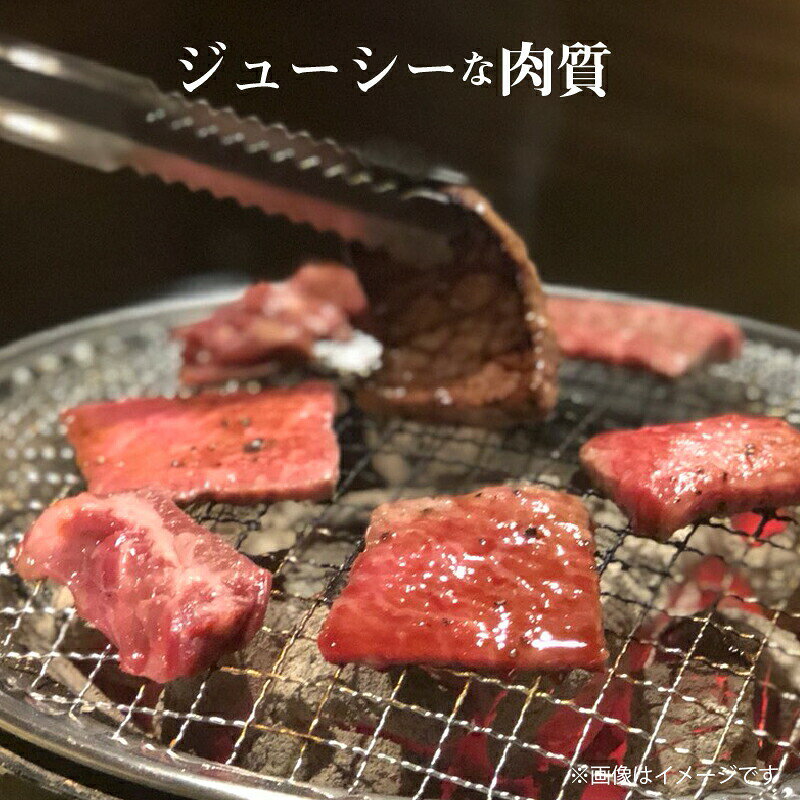 サンプル画像3