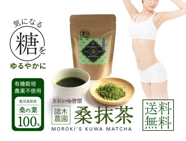 オーガニック桑茶 【諸木の桑抹茶】100g×3パック メール便送料無料 鹿児島産 有機栽培 桑の葉使用 桑パウダー ノンカフェイン 諸木農園 JAS有機認証 ハロウィン