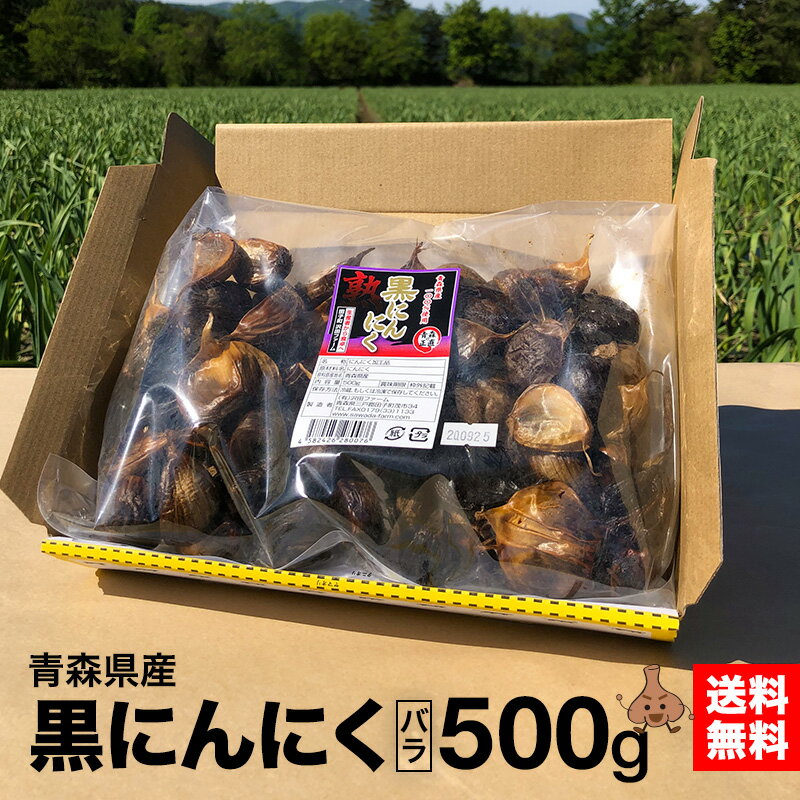 黒にんにく 黒にんにく 青森県産 無選別バラ 大中 500g 沢田ファーム 送料無料 時間指定可