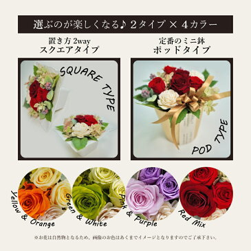 プリザーブドフラワー + スターバックス プレミアムミックス コーヒーセット スクエア (レッド) (あす楽) 送料無料(北海道・沖縄を除く) 【カード/ビニール袋添付可】【熨斗/包装紙選択不可】 HAREPB_21敬老 _