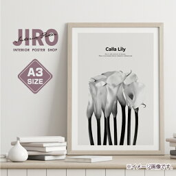 Calla Lily 花 植物 モノトーン モノクロ イラスト おしゃれ 玄関 雑貨 一人暮らし おうち時間 北欧 インテリア アート ポスター A3サイズ