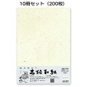 10冊セット|越前和紙ろまん 光輝紙 クリームME-102A4 金銀砂子のOA和紙 A4 20枚 プリンター用紙