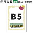 ササガワ OA賞状用紙 B5サイズ 横書