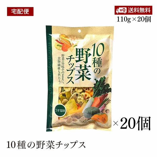 ء̣ 10ڥåץ110g 20ĥå ʴ ѥ 󥸥㡼  ժ ̵ ̵