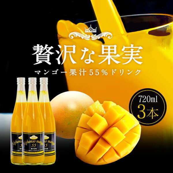 marche du monde 世界のマルシェのアンビカ アルフォンソ マンゴードリンク 720ml 3本セット アルフォンソマンゴー55％使用 着色料・香料不使用｜アングル2