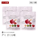 【メール便】だいじょうぶなもの 百年はちみつ グミ ざくろ味 4個セット レザーウッドハニー はちみつ ザクロ 柘榴 ポリフェノール 葉酸 カリウム エラグ酸 ビタミン