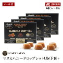 【メール便】Honey Japan(ハニージャパ