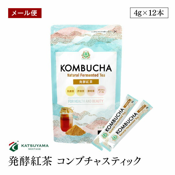 【メール便】仙台勝山館 発酵紅茶 KOMBUCHA 4g×1