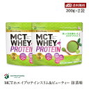 勝山ネクステージ MCT ホエイプロテイン スリム & ビューティー 抹茶味 300g 2袋セット 中鎖脂肪酸 100％ プロテイン乳酸 鉄 鉄分 コラーゲン ダイエット 美容 mctオイル ホエイ