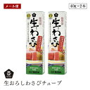 【メール便】ムソー 旨味本来 生おろしわさびチューブ 40g 2個セット 西洋わさびと本わさびを使用 山葵 ワサビ