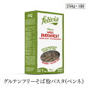 【エントリー&楽天カードP7倍|4/30限定】グルテンフリー そば粉パスタ ペンネ 340g イタリア EUオーガニック認証