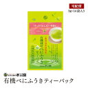 鹿児島県知覧産の有機栽培べにふうきに有機粉末緑茶を配合し、香り高く飲みやすい緑茶に仕上げました。 ムズムズとした季節の変わり目にすっきりとした味わいのべにふうきをお楽しみください。 保存方法 高温多湿を避け、移り香にご注意ください。 ご注意（免責）＜必ずお読みください＞ ※お茶は鮮度が大切です。開封後はお早めにお飲みください。また、熱湯を扱う際には十分にご注意ください。 名称 有機粉末茶入り煎茶（ティーバッグ） 原材料名 有機緑茶 原料原産地名 鹿児島県産 内容量 42g（3g×14袋） 賞味期限 枠外上部に記載 製造者 株式会社水宗園本舗 長野県安曇野市豊科高家2287?37