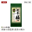 【訳あり/賞味期限2025年8月2日】【宅配便】茶師十段監修 煎茶の極み 100g 緑茶 国産