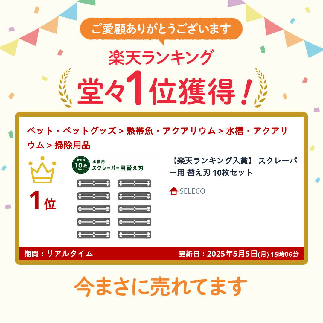 【楽天ランキング入賞】 スクレーパー用 替え刃 10枚セット 2