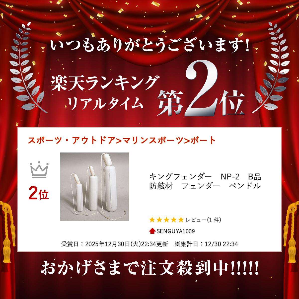 ���󥰥ե��������NP-2��B�ʡ��ɸ��ࡡ�ե���������ڥ�ɥ�