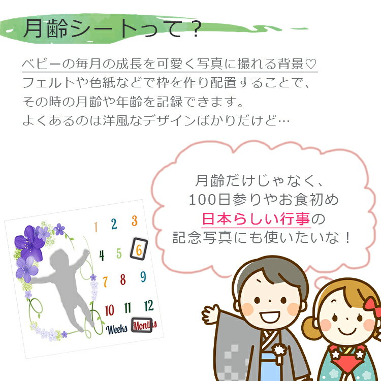 ��̾����ۿ������ե��� ̾���� �٥ӡ� ���ꥸ�ʥ� �ե��ȥ����� ���� ���� �ե��� ���å� ̾���� �л��ˤ� ������ ���뿲������ ����ե��� �֥�󥱥å� �ϡ��եС����ǡ� �̿� �ط� �֤���� �С����ǡ� ���ڥ��ȥ꡼ ������ ���� ��������ǥ� ��������л��ˤ� ����