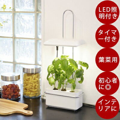 LED 水耕栽培 キット Akarina15 アカリーナ15 /灯菜 型番：OMA15 LED付き 水耕栽培器 インテリア 間接照明 簡単 手軽 ハイポニカLED おしゃれ ギフト プレゼント 自由研究 食育 かわいい 初心…