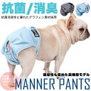 犬 抗菌 消臭 吸収力アップ マナーパンツ サニタリーパンツ マナーバンド オムツカバー ドッグウェア しつけ マーキング防止 トイレ 介護 h0422