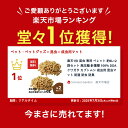 sforest:10000167のサンプル画像2
