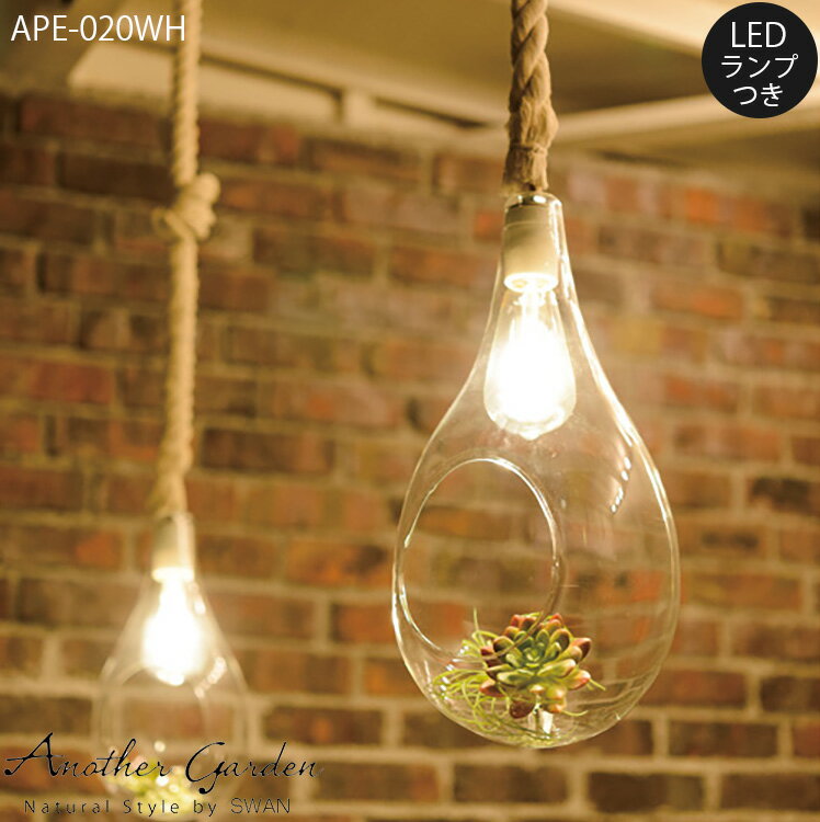 【レビューでプレゼント】スワン電器 Another garden BOTANIC HANGING LIGHT ボタニックハンギングライト Lサイズ LED おしゃれ LED ハロウィン 照明 植物 照明 店舗用 あす楽 インテリア ガラス 六本木クラス