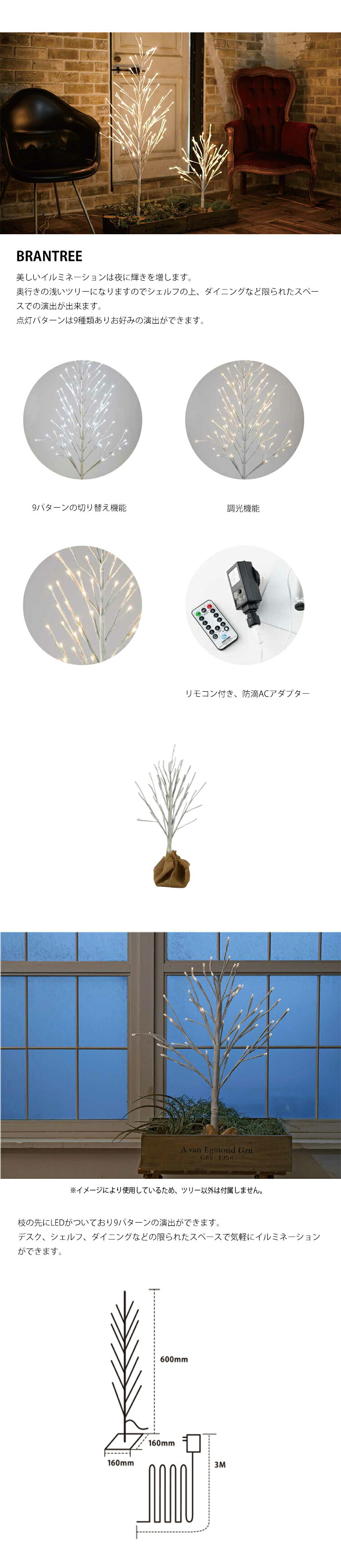 【レビューでプレゼント】スワン電器 Anoth...の紹介画像2