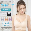 【最大50%OFFクーポン】ナイトブラ 昼夜兼用 ノンワイヤー ブラジャー レディース 育乳ブラ 美胸ブラ シームレスブラ シアースキン 涼感ブラ 脇高設計 横流れ防止 脇肉すっきり 谷間メイク 夏用インナー 蒸れにくい 通気性抜群 極薄 軽い さらさら 快適 着心地 大きいサイズ