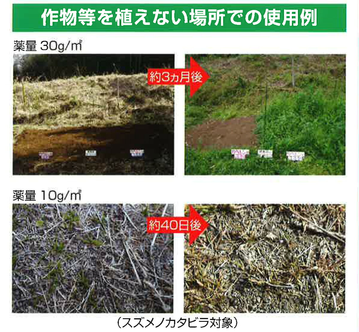 芝用 除草剤 カぺレン粒剤2.5 5kg 芝生 雑草 対策 粒剤 スギナ ギシギシ ヨモギ ツユクサ ヤブガラシ