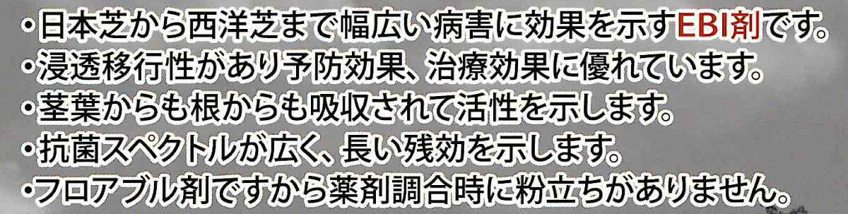 芝用 殺菌剤 芝美人フロアブル 500ml ゴルフ場 緑地 対策 ダラースポット ラージパ...