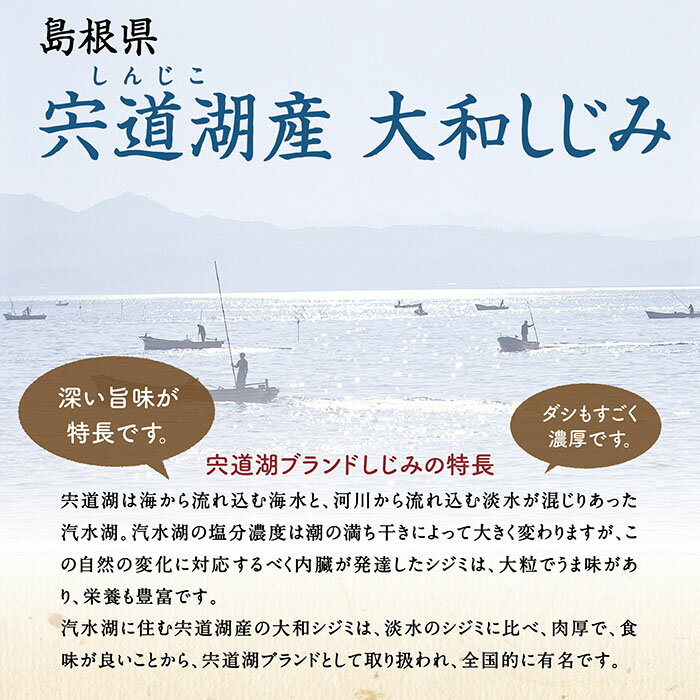 【究極のお土産】【送料無料】日本有数の漁獲量を誇る 島根県宍道湖産食べるしじみお味噌汁味噌汁(みそ汁)ギフトセット 10食入り【KG-14】【常温　ギフト　贈答用　お土産　土用しじみ　寒しじみ　お歳暮　お中元　お土産　母の日　父の日】 3