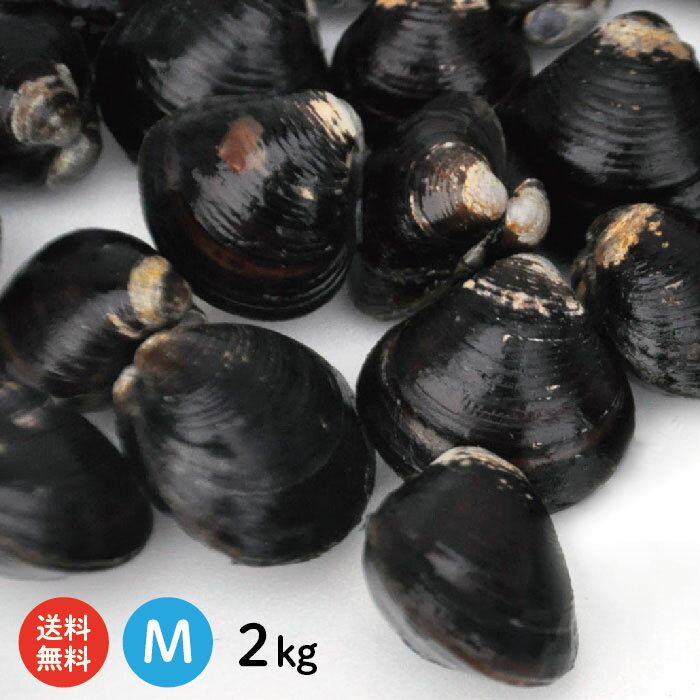 【送料無料】 宍道湖産 砂抜き済 冷凍しじみ Mサイズ2kg（1kg×2袋、2キロ）青森県・十三湖に ...