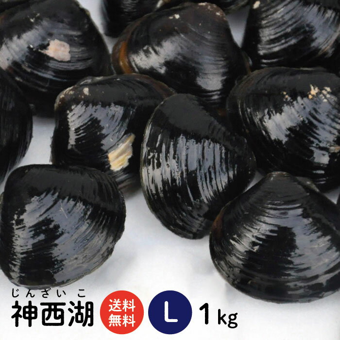 【送料無料】 神西湖 砂抜き済 冷凍しじみ Lサイズ 1kg（1kg×1袋、1キロ）高評価レビュー5 ...